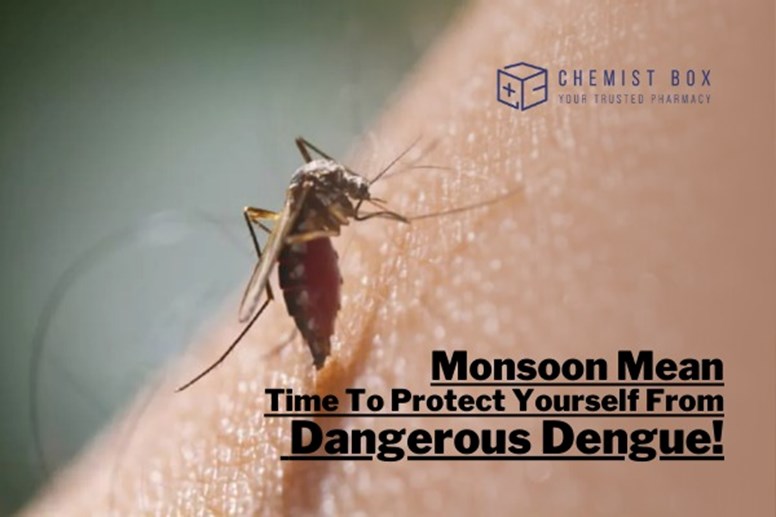 Monsoon Means Time To Protect Yourself From Dangerous Dengue! 
